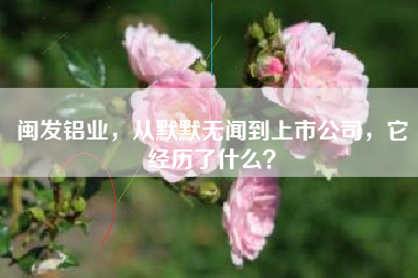 闽发铝业,从默默无闻到上市公司,它经历了什么?