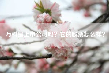 万科是上市公司吗？它的股票怎么样？