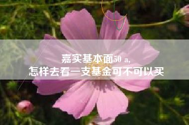 嘉实基本面50 a,
怎样去看一支基金可不可以买