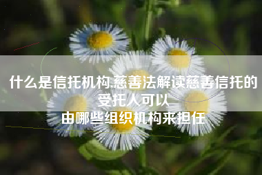 什么是信托机构,慈善法解读慈善信托的受托人可以
由哪些组织机构来担任 什么是信托机构,慈善法解读慈善信托的受托人可以
由哪些组织机构来担任