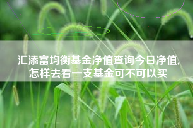 汇添富均衡基金净值查询今日净值,
怎样去看一支基金可不可以买