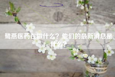 鹭燕医药在做什么？他们的最新消息是什么？