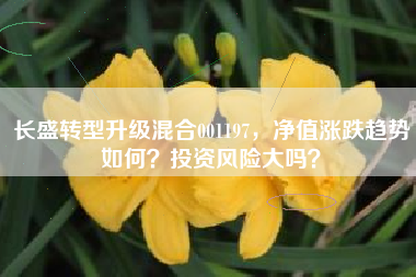 长盛转型升级混合001197，净值涨跌趋势如何？投资风险大吗？
