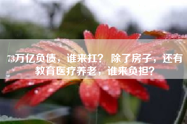 73万亿负债，谁来扛？ 除了房子，还有教育医疗养老，谁来负担？