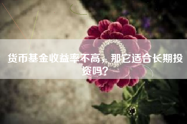 货币基金收益率不高，那它适合长期投资吗？