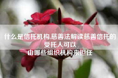 什么是信托机构,慈善法解读慈善信托的受托人可以
由哪些组织机构来担任 什么是信托机构,慈善法解读慈善信托的受托人可以
由哪些组织机构来担任