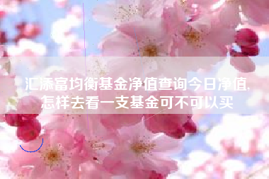 汇添富均衡基金净值查询今日净值,
怎样去看一支基金可不可以买
