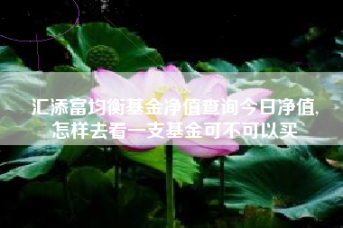 汇添富均衡基金净值查询今日净值,
怎样去看一支基金可不可以买