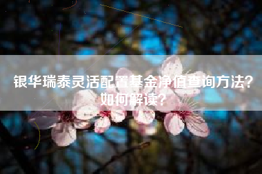 银华瑞泰灵活配置基金净值查询方法？如何解读？