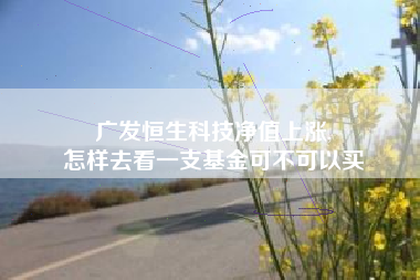 广发恒生科技净值上涨,
怎样去看一支基金可不可以买