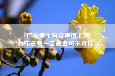 广发恒生科技净值上涨,
怎样去看一支基金可不可以买