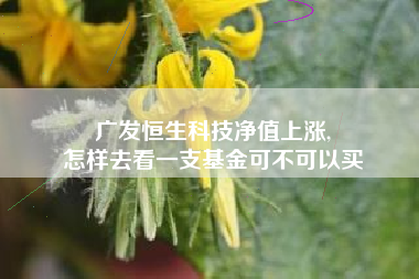 广发恒生科技净值上涨,
怎样去看一支基金可不可以买