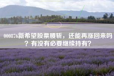 000876新希望股票腰斩，还能再涨回来吗？有没有必要继续持有？