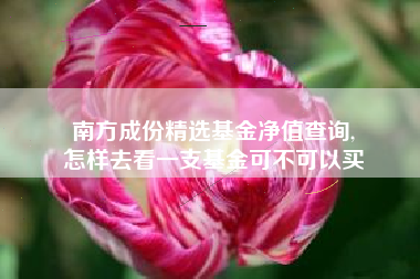 南方成份精选基金净值查询,
怎样去看一支基金可不可以买