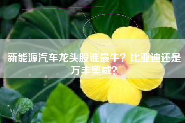 新能源汽车龙头股谁最牛？比亚迪还是万丰奥威？