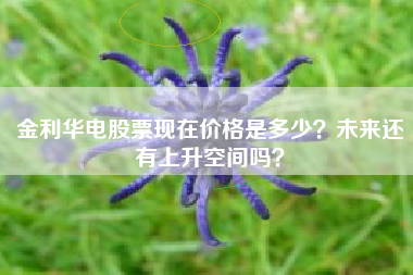 金利华电股票现在价格是多少?未来还有上升空间吗?