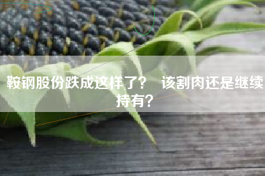 鞍钢股份跌成这样了? 该割肉还是继续持有?