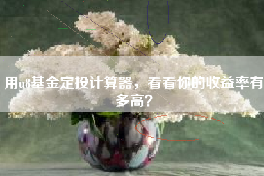 用u8基金定投计算器，看看你的收益率有多高？