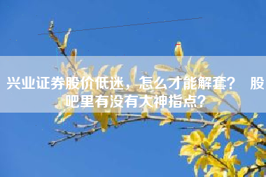 兴业证券股价低迷，怎么才能解套？  股吧里有没有大神指点？