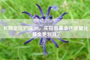 长期定投沪深300，买指数基金还是量化基金更划算？