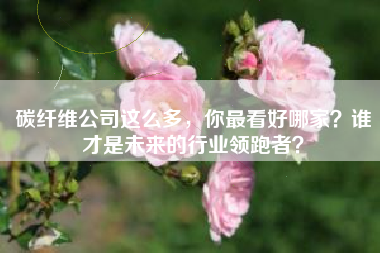 碳纤维公司这么多，你最看好哪家？谁才是未来的行业领跑者？