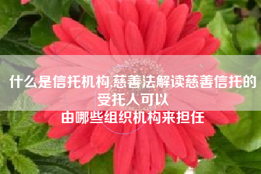 什么是信托机构,慈善法解读慈善信托的受托人可以
由哪些组织机构来担任 什么是信托机构,慈善法解读慈善信托的受托人可以
由哪些组织机构来担任