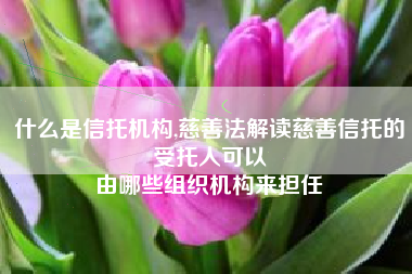 什么是信托机构,慈善法解读慈善信托的受托人可以
由哪些组织机构来担任 什么是信托机构,慈善法解读慈善信托的受托人可以
由哪些组织机构来担任