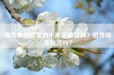 海汽集团股票的未来走势如何？值得继续投资吗？