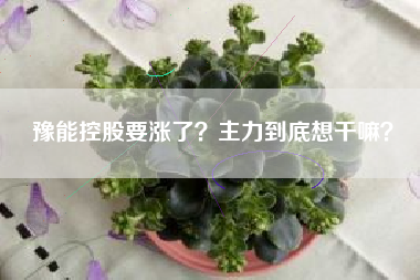 豫能控股要涨了？主力到底想干嘛？