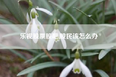 乐视股票股吧,股民该怎么办
