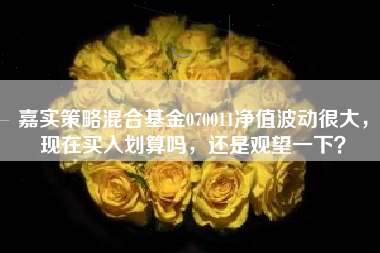 嘉实策略混合基金070011净值波动很大，现在买入划算吗，还是观望一下？