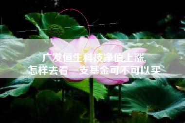 广发恒生科技净值上涨,
怎样去看一支基金可不可以买