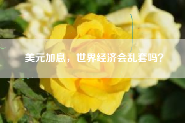美元加息，世界经济会乱套吗？