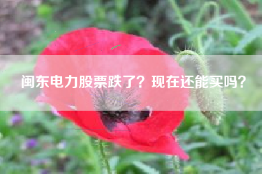闽东电力股票跌了？现在还能买吗？