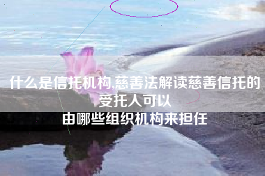 什么是信托机构,慈善法解读慈善信托的受托人可以
由哪些组织机构来担任 什么是信托机构,慈善法解读慈善信托的受托人可以
由哪些组织机构来担任