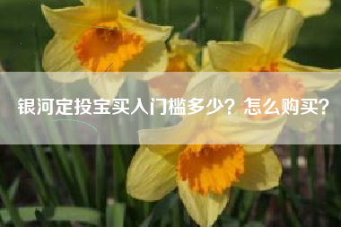 银河定投宝买入门槛多少？怎么购买？