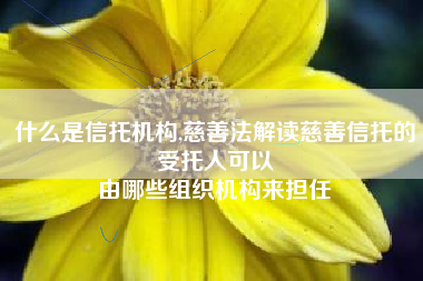 什么是信托机构,慈善法解读慈善信托的受托人可以
由哪些组织机构来担任 什么是信托机构,慈善法解读慈善信托的受托人可以
由哪些组织机构来担任