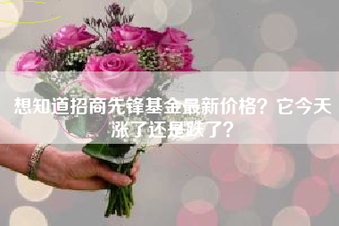 想知道招商先锋基金最新价格？它今天涨了还是跌了？