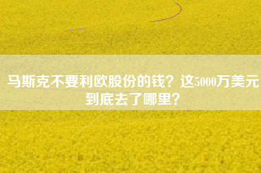 马斯克不要利欧股份的钱?这5000万美元到底去了哪里?