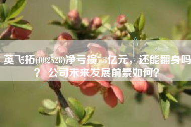 英飞拓(002528)净亏损7.3亿元，还能翻身吗？ 公司未来发展前景如何？