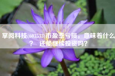掌阅科技(603533)市盈率亏损，意味着什么？  还能继续投资吗？