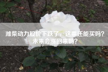 潍柴动力股价下跌了，这票还能买吗？未来会涨回来吗？