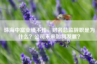 珠海中富业绩不佳，财务总监辞职是为什么？公司未来如何发展？