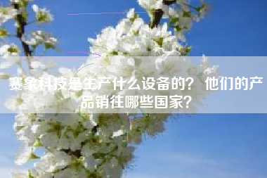 赛象科技是生产什么设备的? 他们的产品销往哪些国家?