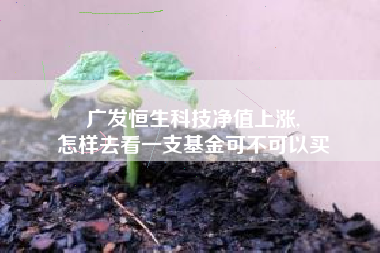 广发恒生科技净值上涨,
怎样去看一支基金可不可以买