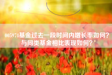 005974基金过去一段时间内增长率如何?与同类基金相比表现如何?