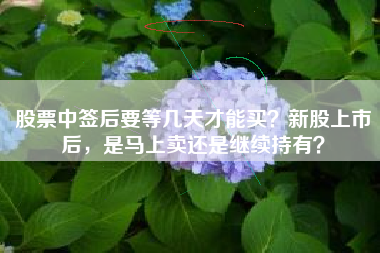 股票中签后要等几天才能买?新股上市后,是马上卖还是继续持有?