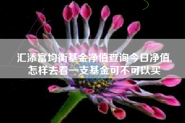 汇添富均衡基金净值查询今日净值,
怎样去看一支基金可不可以买