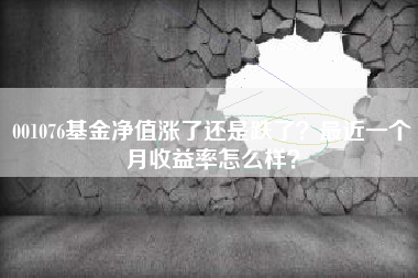 001076基金净值涨了还是跌了？最近一个月收益率怎么样？