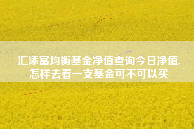汇添富均衡基金净值查询今日净值,
怎样去看一支基金可不可以买